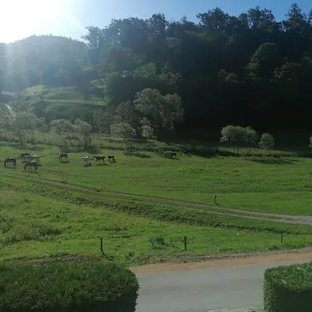 Daire Beautiful House In Idyllic Location *