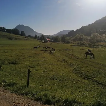 Beautiful House In Idyllic Location Daire