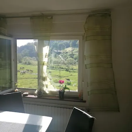 Apartment Beautiful House In Idyllic Location