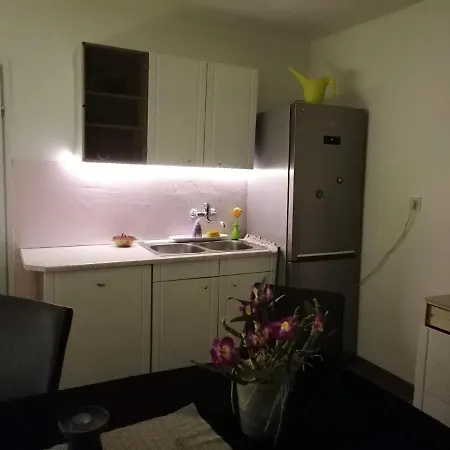 Beautiful House In Idyllic Location Daire Rogatec