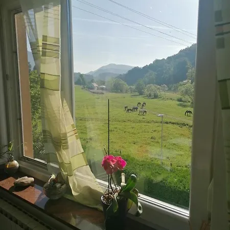 Beautiful House In Idyllic Location Rogatec